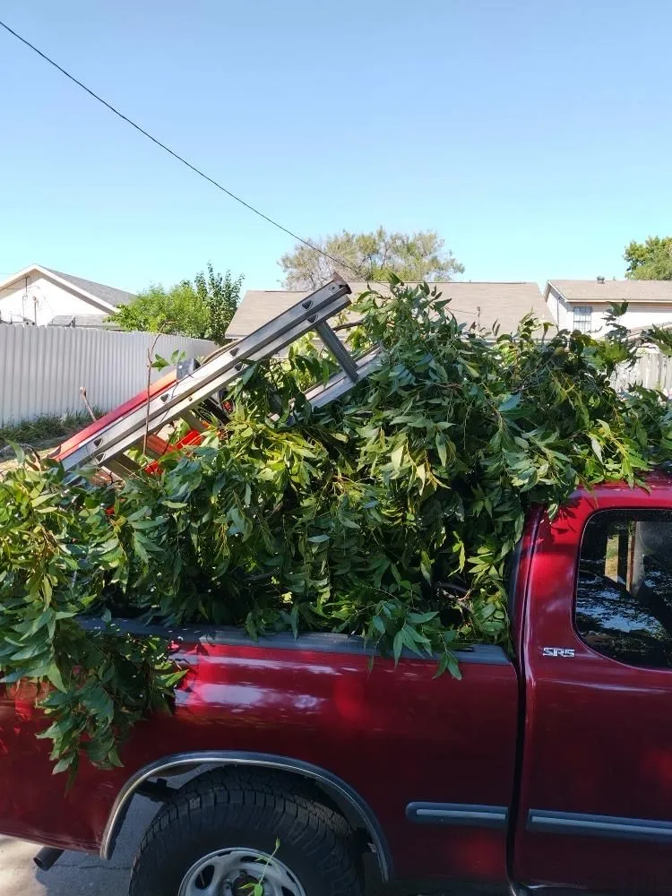 Custom landscaping services for beautiful yards across Mesquite, TX - Daniel’s lawn care and landscaping