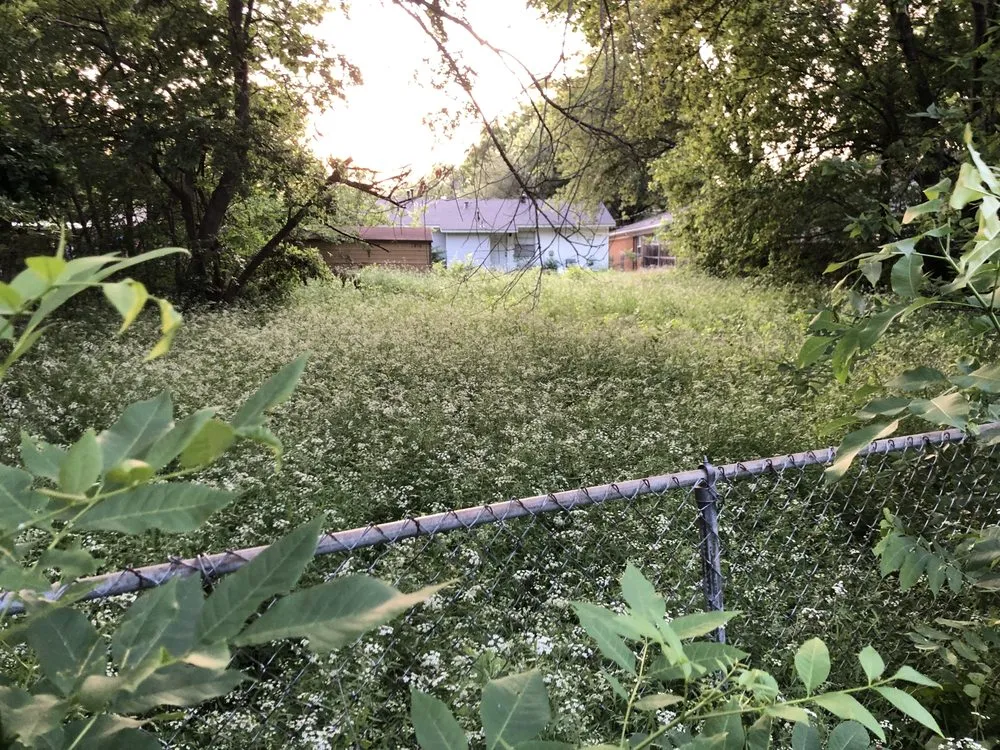 Top-rated yard cleanup service experts serving Mesquite, TX - Daniel’s lawn care and landscaping