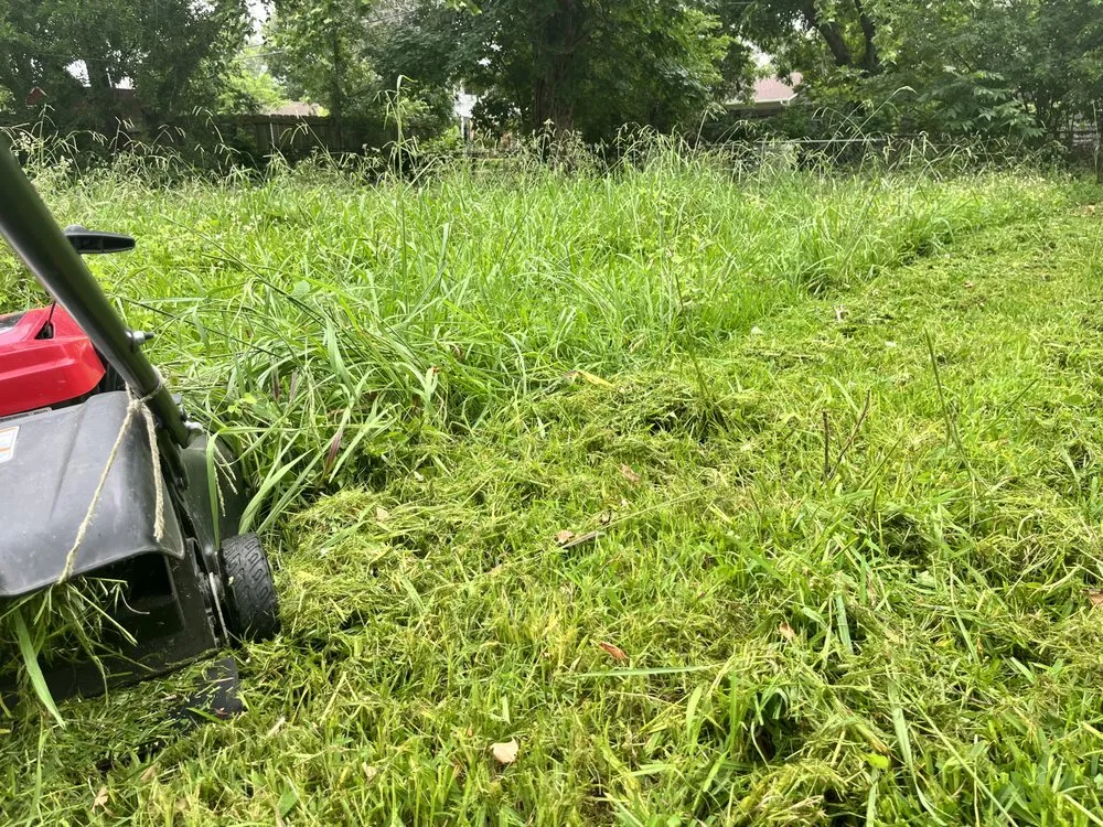 Affordable landscape design for homes across Mesquite, TX - Daniel’s lawn care and landscaping