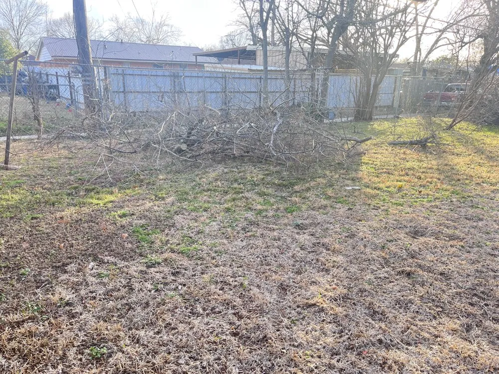 Professional landscape installation in Mesquite, TX by Daniel’s lawn care and landscaping