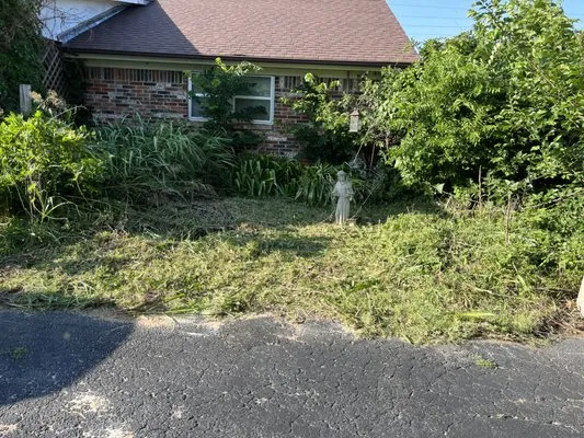 Daniel’s lawn care and landscaping Logo