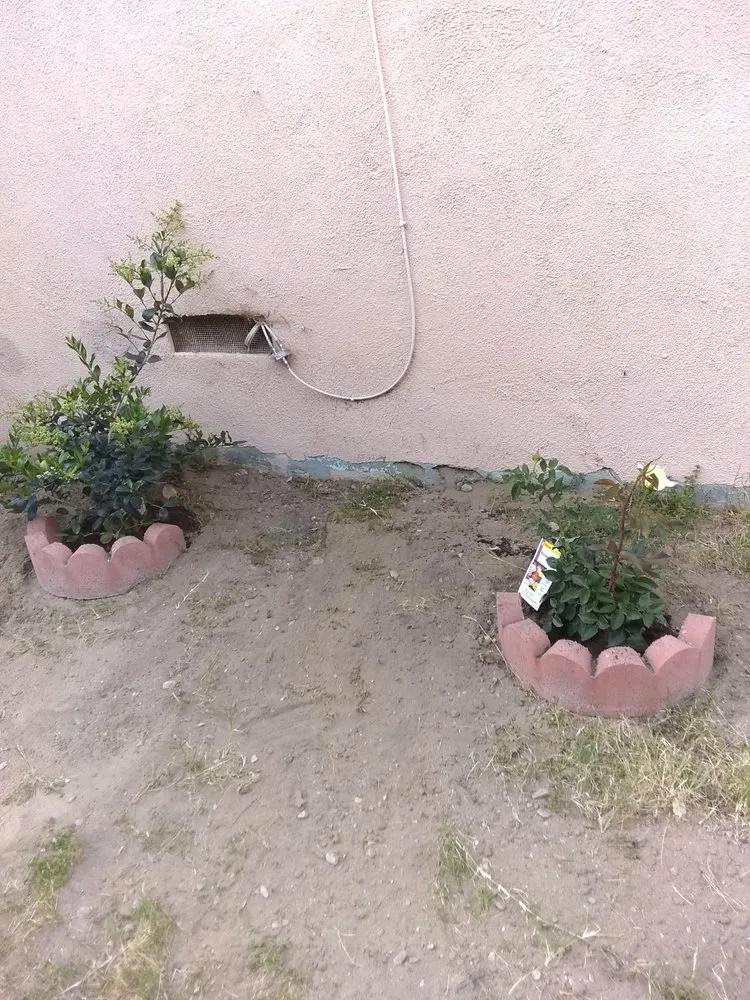 Local outdoor landscaping in Baldwin Park, CA by Daniel's Lawn Care