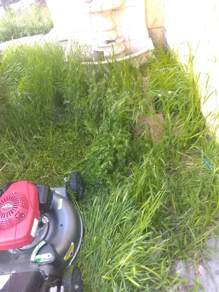 Professional outdoor landscaping experts serving Baldwin Park, CA - Daniel's Lawn Care
