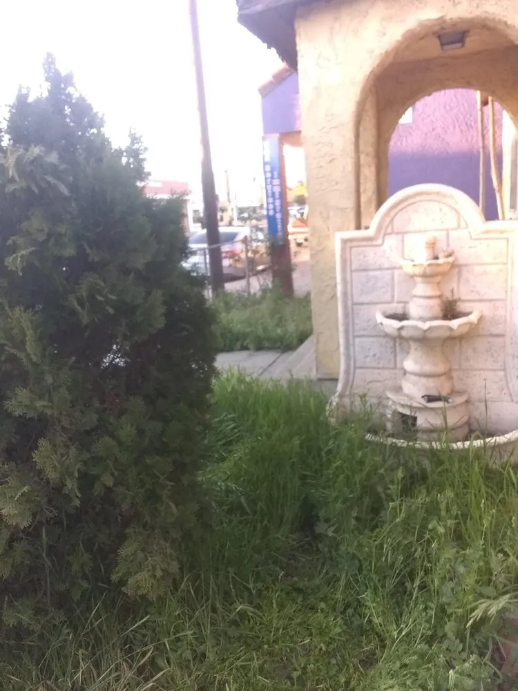 Expert yard cleanup service for homes in Baldwin Park, CA by Daniel's Lawn Care
