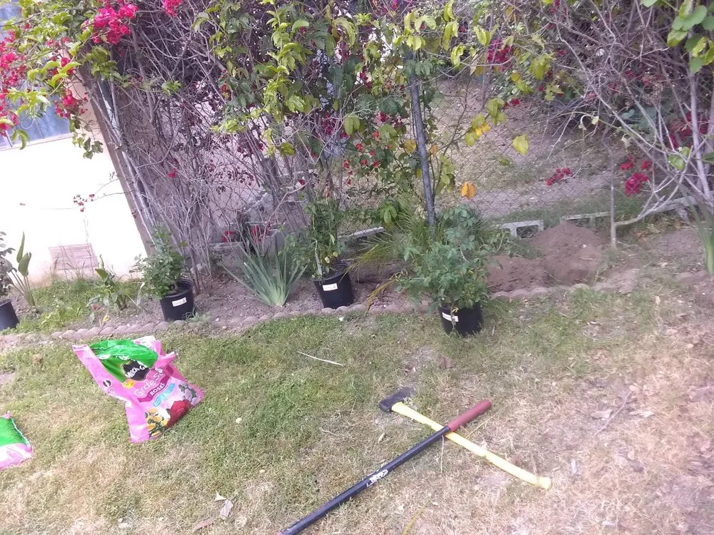 Custom garden landscaping in Baldwin Park, CA - Daniel's Lawn Care