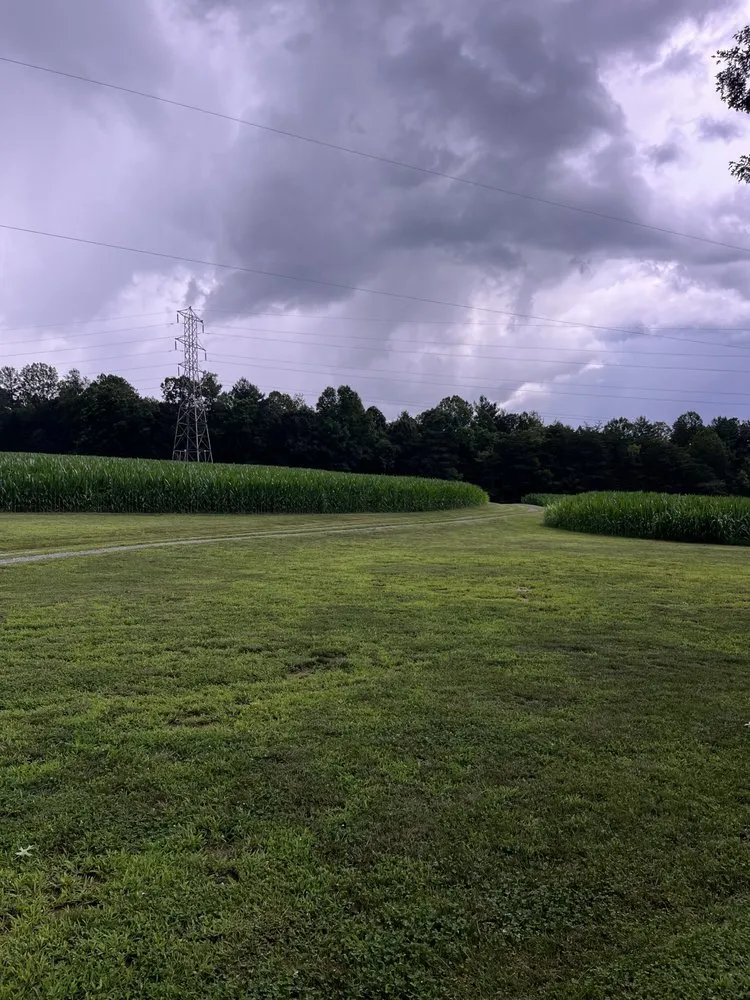 Professional garden landscaping for year-round maintenance across Rocky Mount, VA - Daniel’s Lawn Care