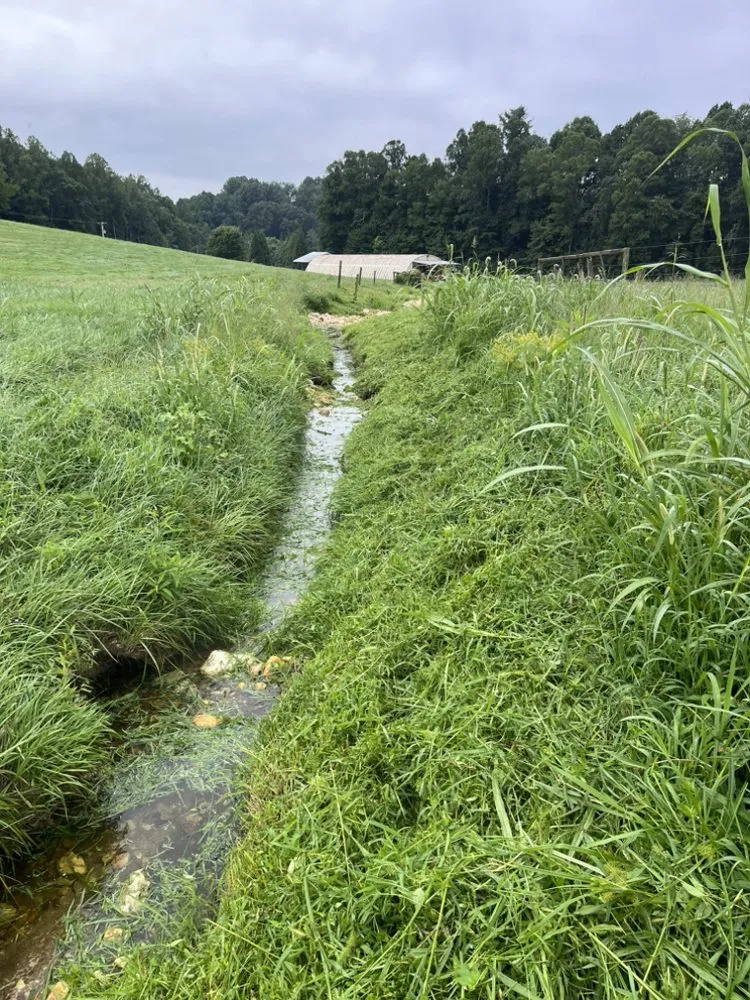 Top-rated garden landscaping for outdoor upgrades in Rocky Mount, VA by Daniel’s Lawn Care