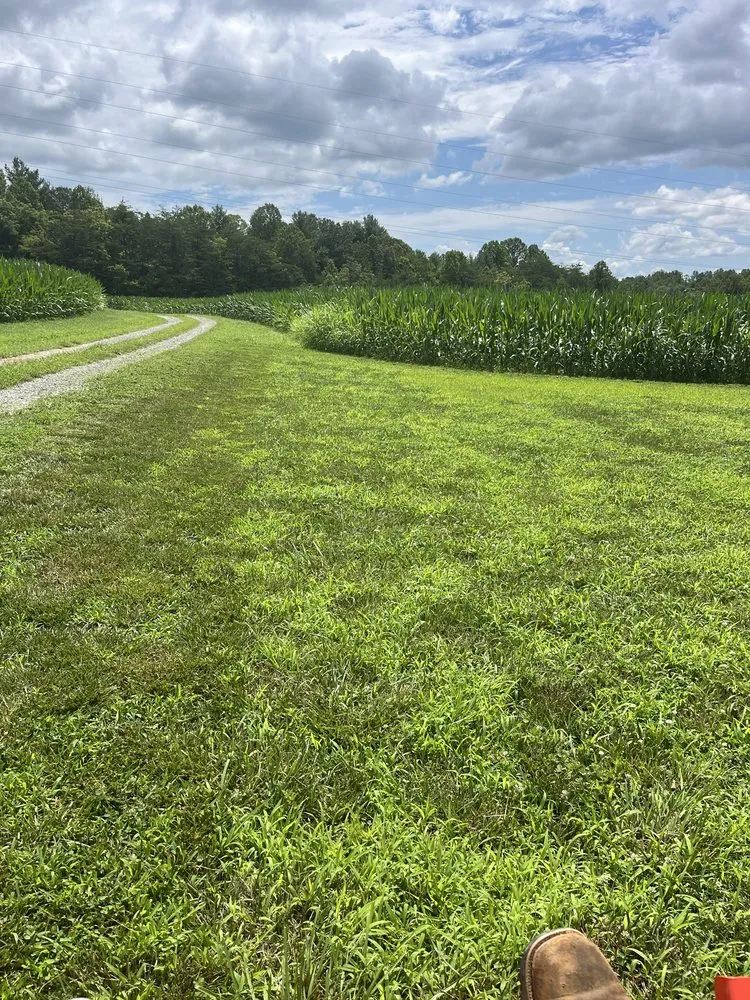 Reliable landscaping services in Rocky Mount, VA by Daniel’s Lawn Care