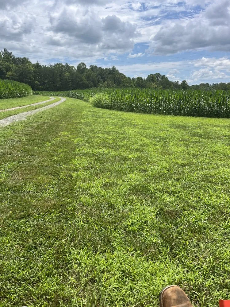 Expert lawn care service for residential properties across Rocky Mount, VA - Daniel’s Lawn Care