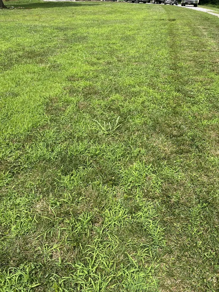 Professional landscape design in Rocky Mount, VA by Daniel’s Lawn Care