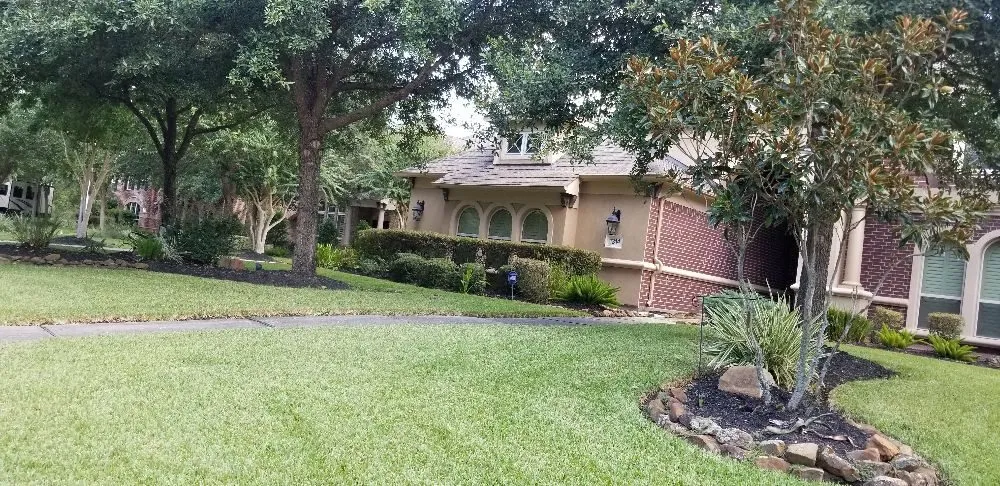 Professional lawn mowing service in Sumter, SC - Daniel's Lawn Care