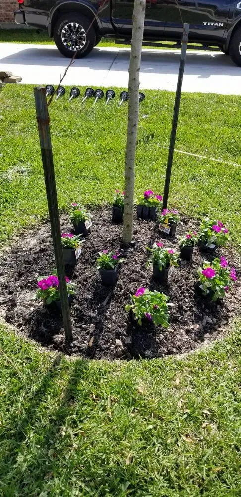 Top-rated yard cleanup service experts serving Sumter, SC - Daniel's Lawn Care