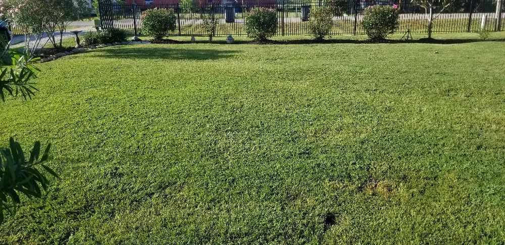 Expert landscape installation in Sumter, SC by Daniel's Lawn Care