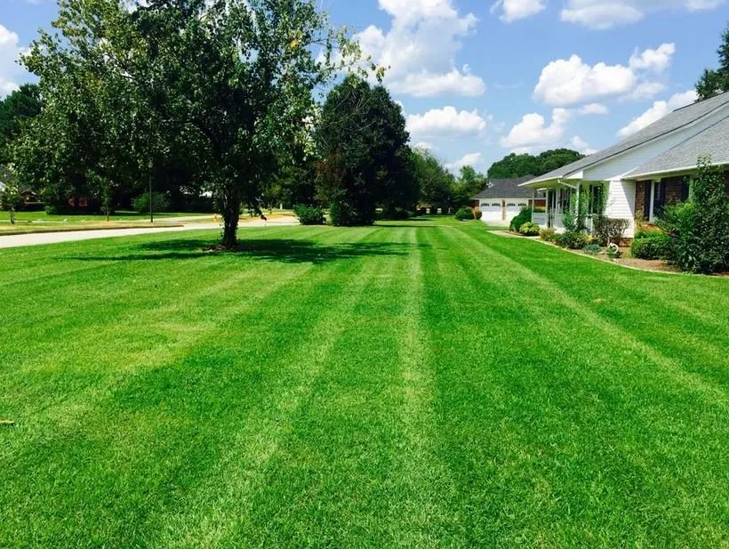 Trusted lawn care service for residential properties in Sumter, SC by Daniel's Lawn Care