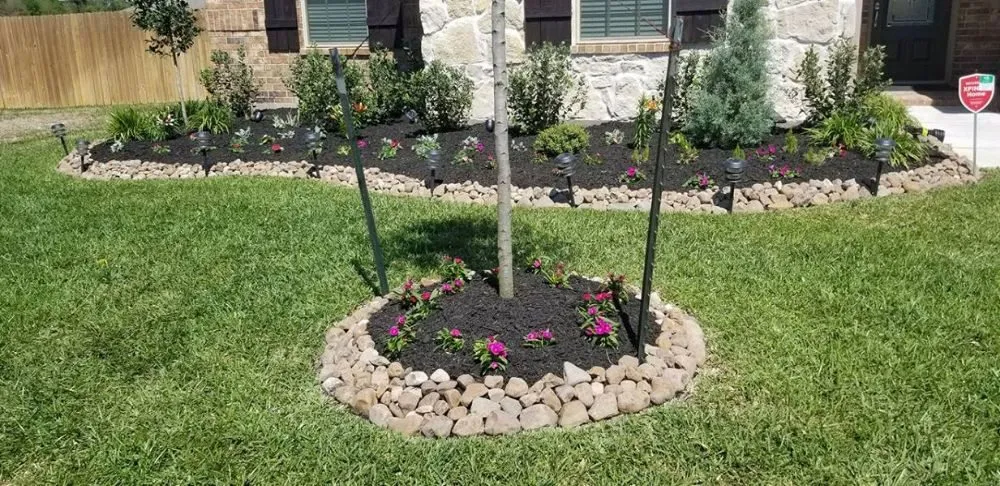 Affordable lawn mowing service in Sumter, SC - Daniel's Lawn Care