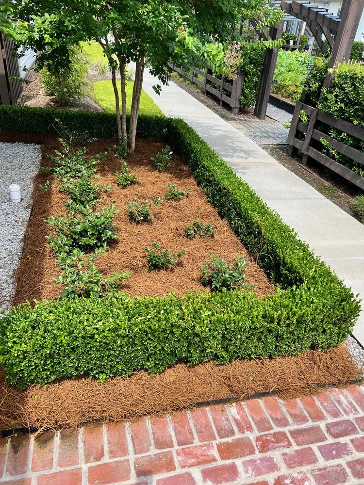 Reliable landscape design near you in Baton Rouge, LA by Daniel's Lawn Maintenance