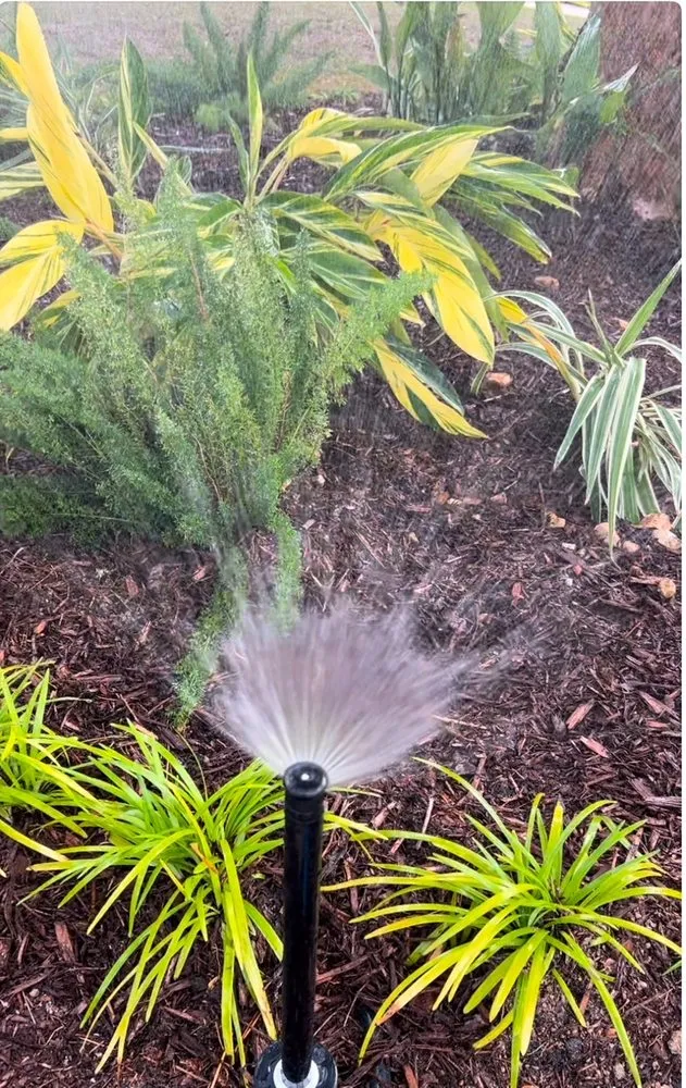 Professional landscaping services experts serving Baton Rouge, LA - Daniel's Lawn Maintenance