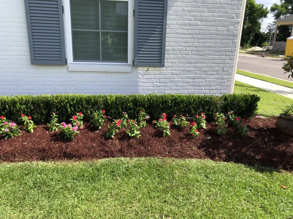 Affordable lawn care service in Baton Rouge, LA - Daniel's Lawn Maintenance