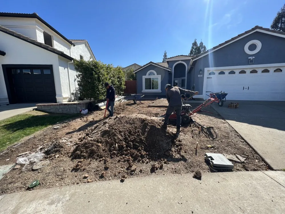 Custom yard cleanup service in Roseville, CA by Daniel's Lawn Service & Landscape