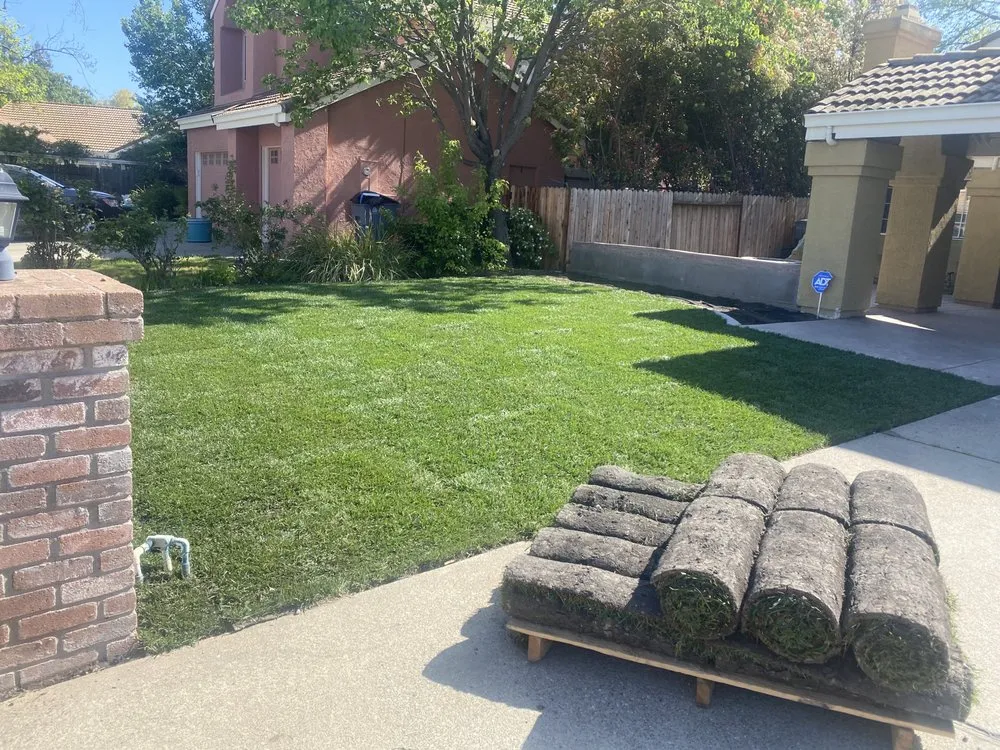 Trusted lawn mowing service experts serving Roseville, CA - Daniel's Lawn Service & Landscape