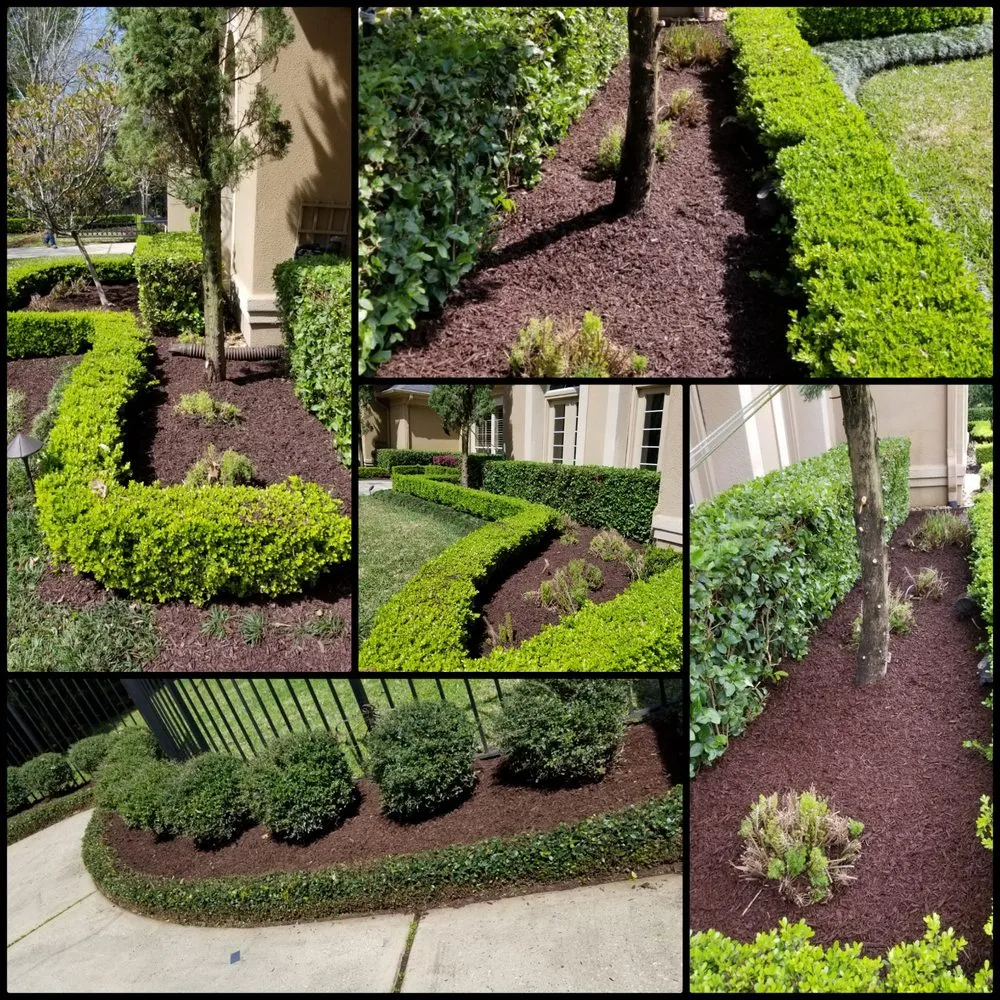 Top-rated landscape installation in Pasadena, TX by Daniel's Lawn Service & Pressure Washing
