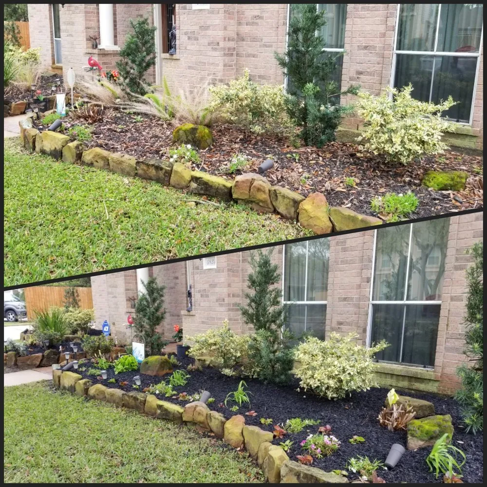 Top-rated yard cleanup service for residential properties across Pasadena, TX - Daniel's Lawn Service & Pressure Washing