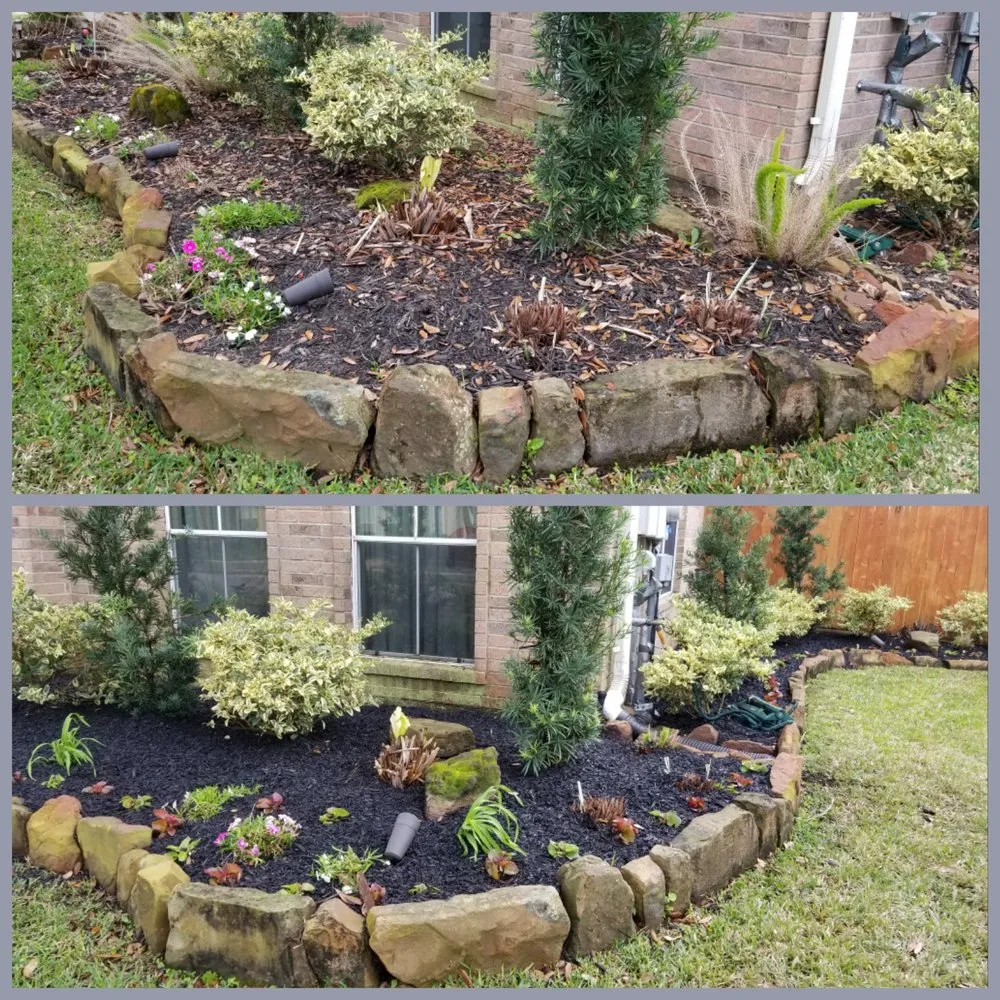 Professional yard cleanup service in Pasadena, TX by Daniel's Lawn Service & Pressure Washing