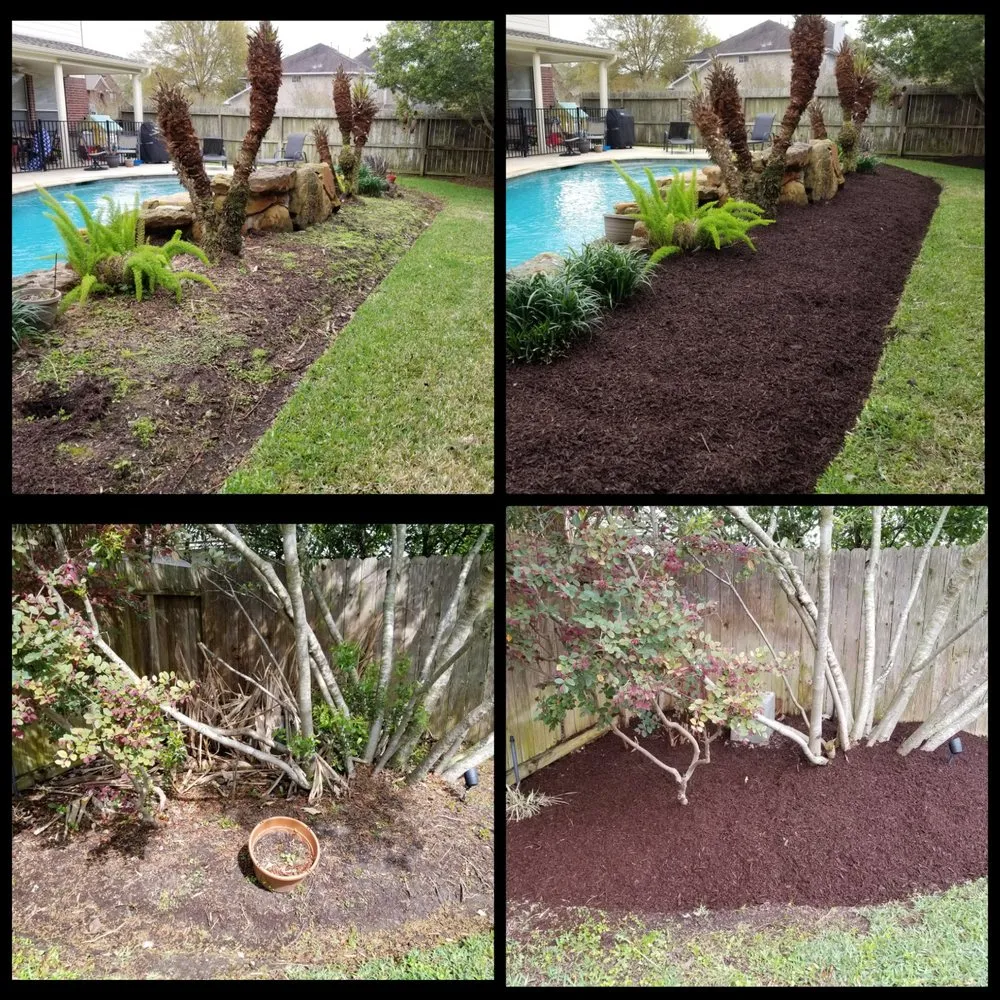 Reliable landscape design in Pasadena, TX - Daniel's Lawn Service & Pressure Washing