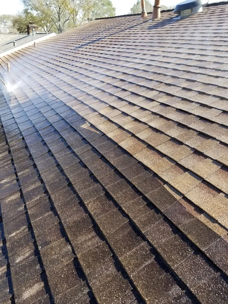 Local landscape installation for year-round maintenance in Pasadena, TX by Daniel's Lawn Service & Pressure Washing