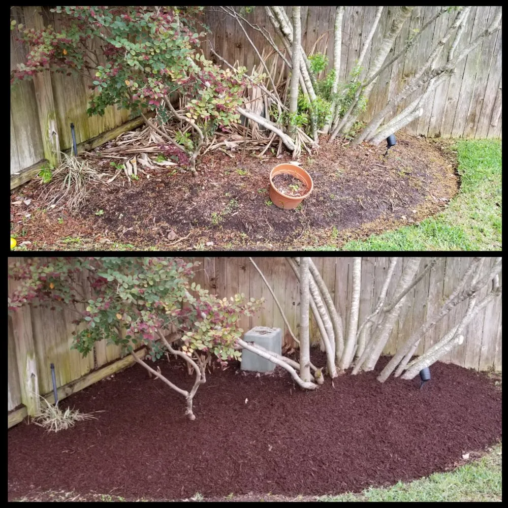 Trusted residential landscaping in Pasadena, TX - Daniel's Lawn Service & Pressure Washing