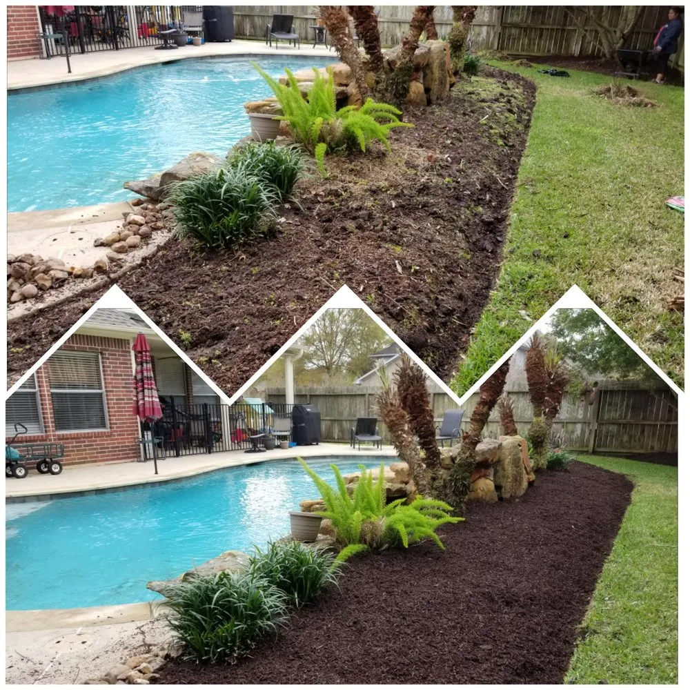 Local landscaping services experts serving Pasadena, TX - Daniel's Lawn Service & Pressure Washing