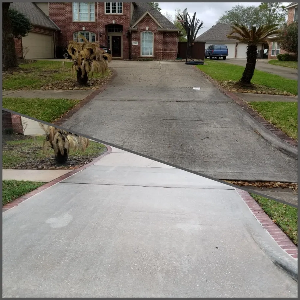 Professional landscape design in Pasadena, TX - Daniel's Lawn Service & Pressure Washing