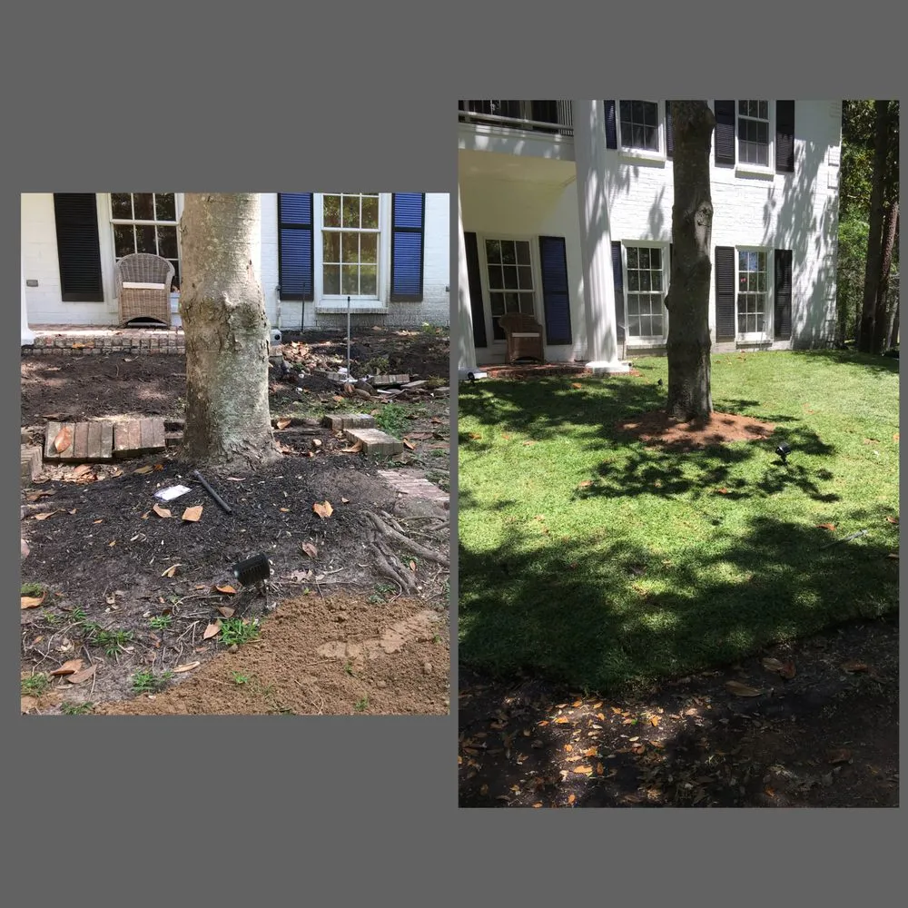 Affordable lawn mowing service in Pasadena, TX by Daniel's Lawn Service & Pressure Washing