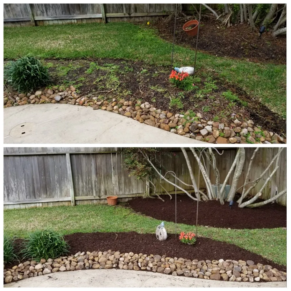 Affordable landscape installation for year-round maintenance in Pasadena, TX by Daniel's Lawn Service & Pressure Washing