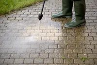 Expert yard cleanup service for year-round maintenance across Lake Mary, FL - Daniel's Lawn Service And Pressure Washing