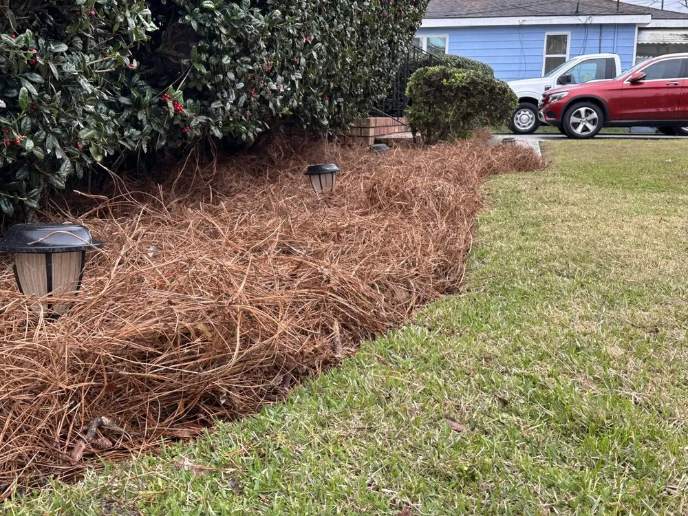 Local landscape design experts serving Savannah, GA - Daniels Lawn Service