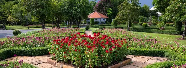 Daniel's Master Landscaping