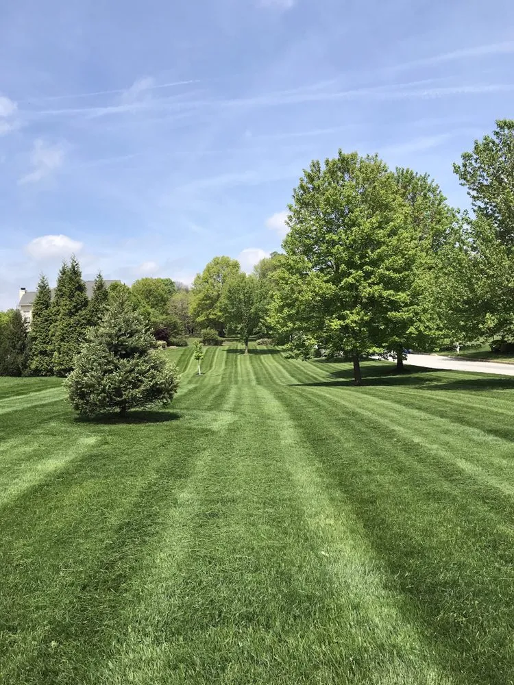 Professional landscape design in Glen Mills, PA - Daniels Property Maintenance