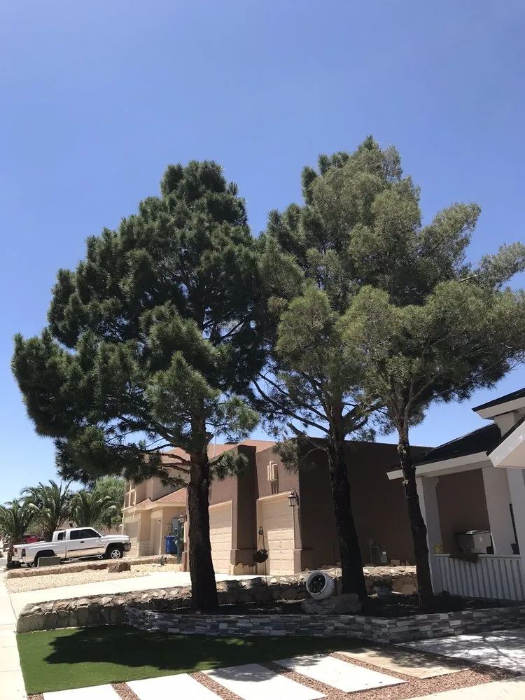 Reliable outdoor landscaping for residential properties in El Paso, TX by Daniel’s Tree & Landscaping