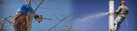 Custom lawn care service in El Paso, TX by Daniel’s Tree & Landscaping