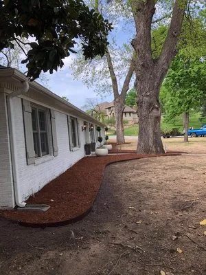 Daniel’s Tree and Lawn Service