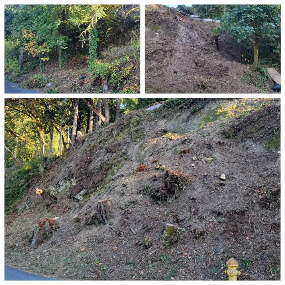 Expert residential landscaping in Belfair, WA by Daniel's Tree Service & Landscaping