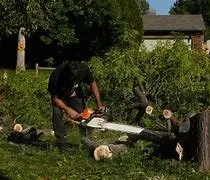 Reliable yard maintenance experts serving Belfair, WA - Daniel's Tree Service & Landscaping