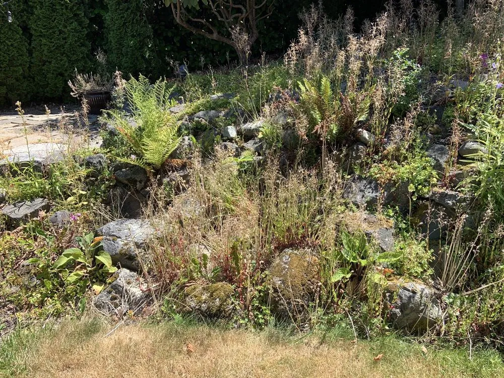 Custom residential landscaping experts serving Belfair, WA - Daniel's Tree Service & Landscaping