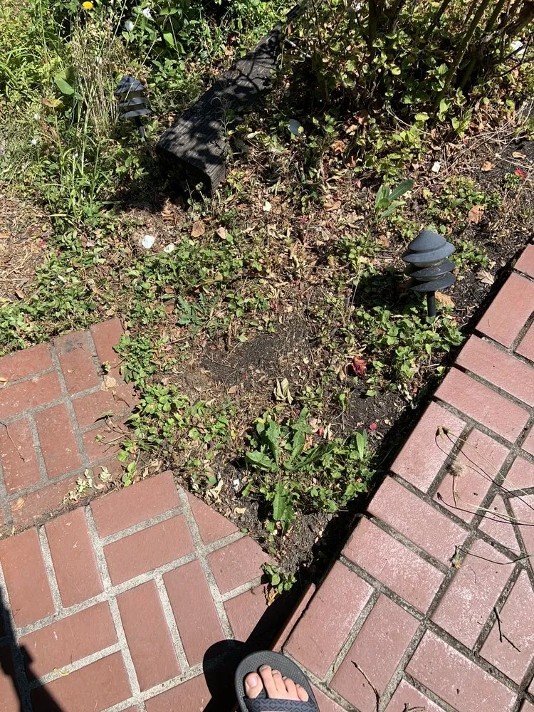 Trusted residential landscaping for homes across Belfair, WA - Daniel's Tree Service & Landscaping