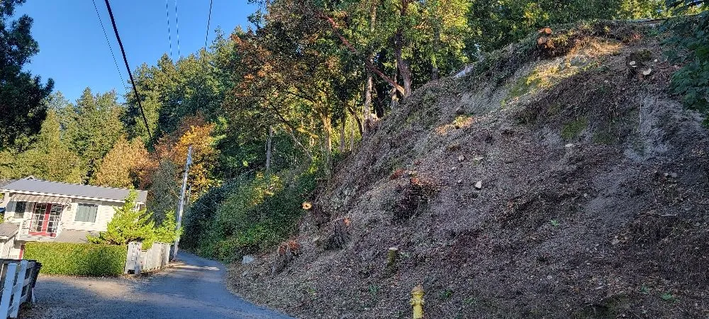 Reliable garden landscaping for homes across Belfair, WA - Daniel's Tree Service & Landscaping