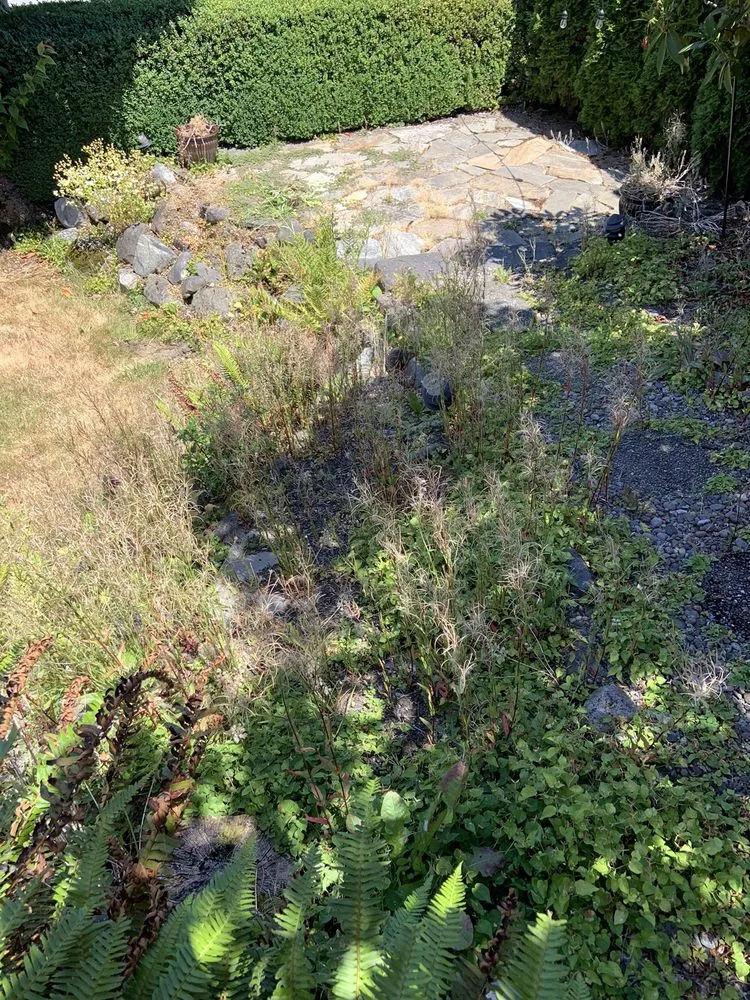 Affordable lawn care service near you across Belfair, WA - Daniel's Tree Service & Landscaping