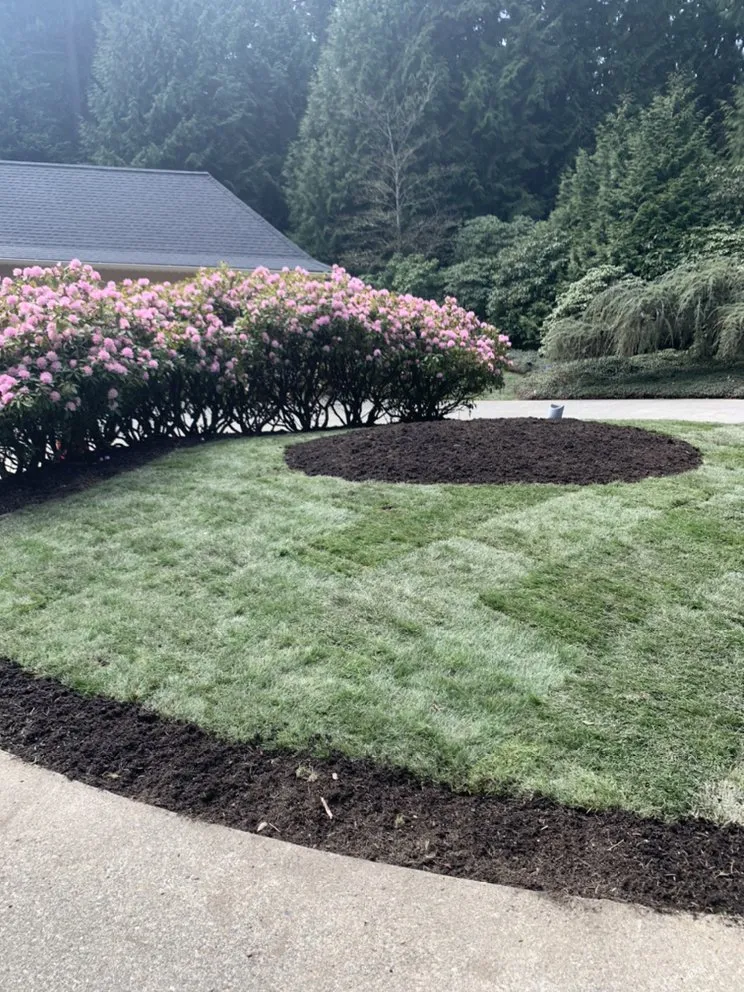 Expert lawn care service in Belfair, WA - Daniel's Tree Service & Landscaping