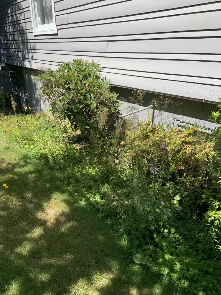 Professional residential landscaping experts serving Belfair, WA - Daniel's Tree Service & Landscaping