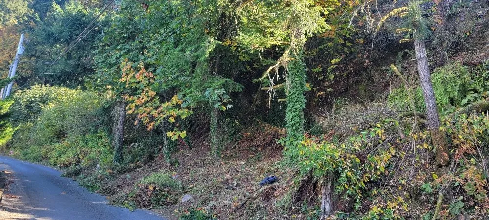 Affordable outdoor landscaping in Belfair, WA by Daniel's Tree Service & Landscaping